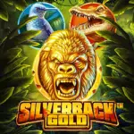 Silverback Gold - Release: December 2021