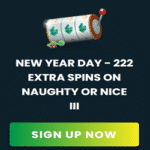 Slots Ninja Casino: 222 New Year Extra Spins